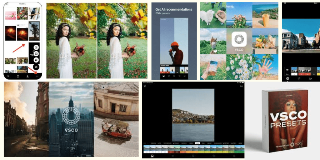 VSCO presets
