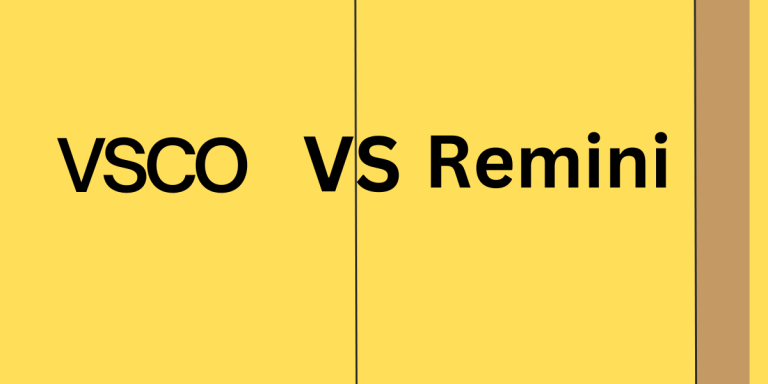 VSCO VS Remini